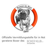 Boxer-in-Not